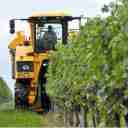 تراکتور و ادوات کشاورزی دانشگر در همدان